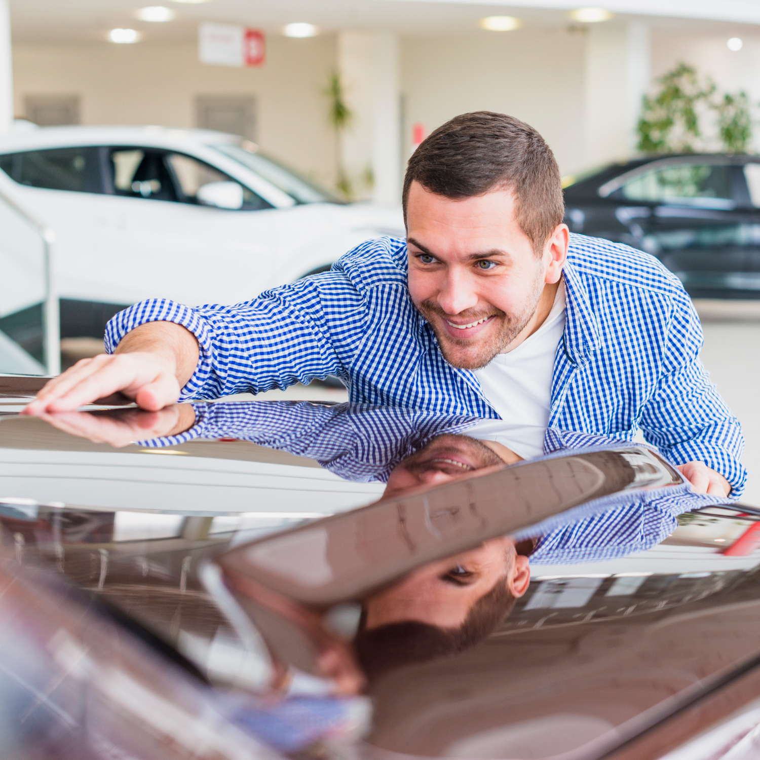 Seguro de auto comparador